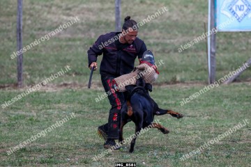 IMG_8581.jpg