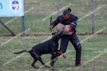 IMG_8586.jpg