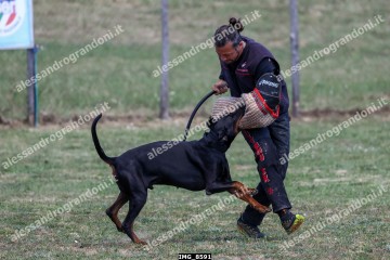 IMG_8591.jpg