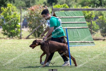 IMG_8685.jpg