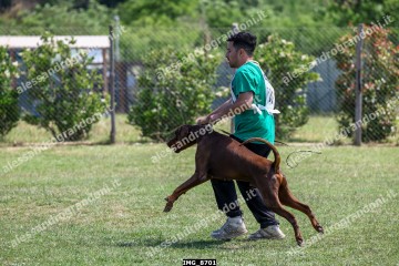 IMG_8701.jpg