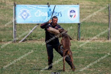 IMG_8784.jpg