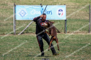 IMG_8786.jpg