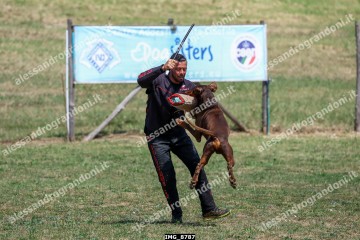 IMG_8787.jpg