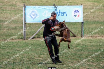 IMG_8789.jpg