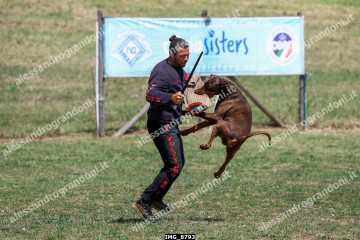 IMG_8793.jpg