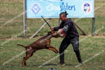 IMG_8804.jpg