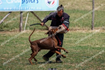 IMG_8819.jpg