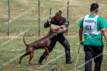 IMG_8828.jpg