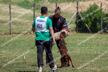 IMG_8859.jpg