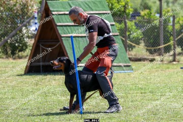 IMG_8913.jpg