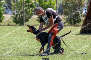 IMG_8925.jpg