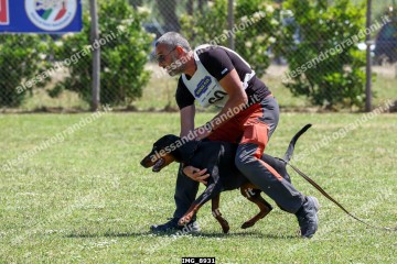 IMG_8931.jpg
