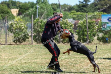 IMG_8945.jpg