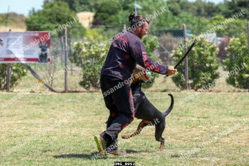 IMG_8952.jpg