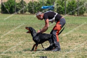IMG_9014.jpg
