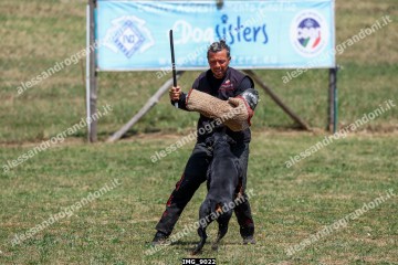 IMG_9022.jpg