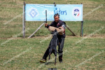 IMG_9024.jpg