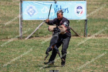 IMG_9026.jpg