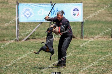 IMG_9029.jpg