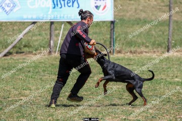 IMG_9054.jpg