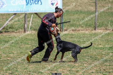 IMG_9060.jpg