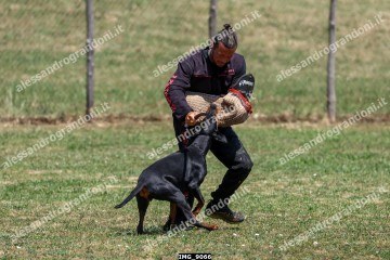 IMG_9066.jpg