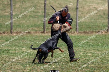 IMG_9070.jpg