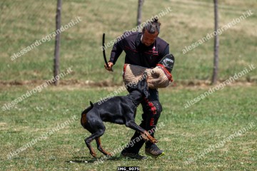 IMG_9075.jpg