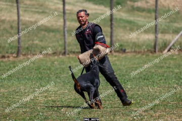 IMG_9079.jpg