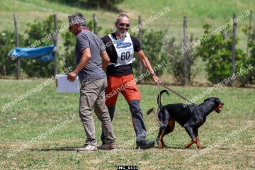 IMG_9133.jpg