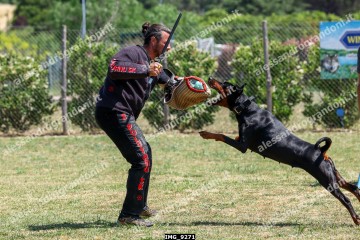 IMG_9271.jpg