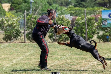 IMG_9272.jpg