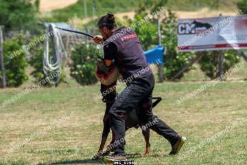 IMG_9298.jpg