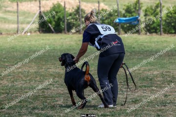 IMG_9386.jpg