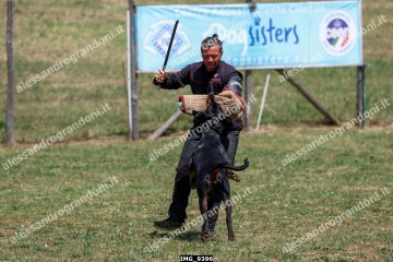 IMG_9396.jpg