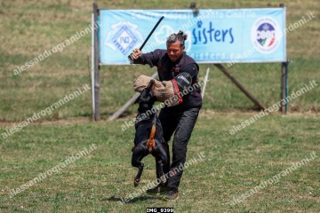 IMG_9399.jpg