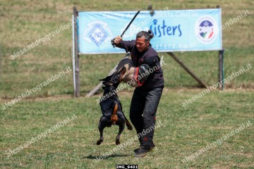 IMG_9401.jpg