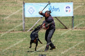IMG_9403.jpg