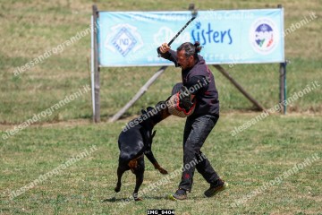 IMG_9404.jpg