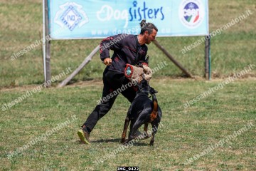 IMG_9422.jpg