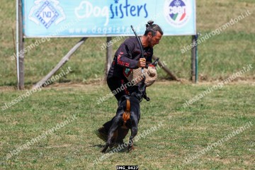 IMG_9427.jpg