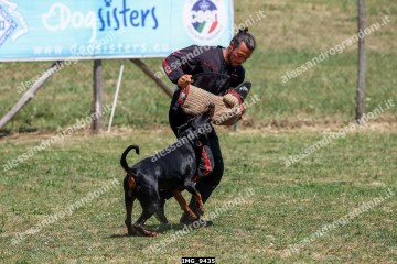 IMG_9435.jpg
