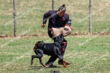 IMG_9445.jpg