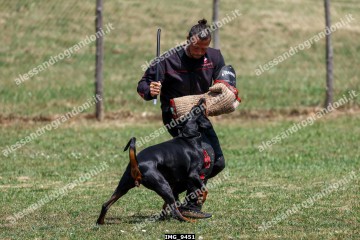 IMG_9451.jpg