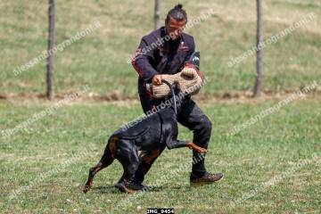 IMG_9454.jpg