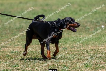 IMG_9484.jpg