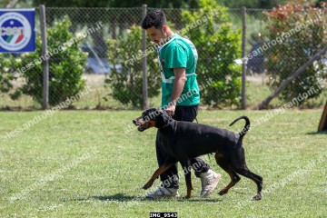 IMG_9543.jpg