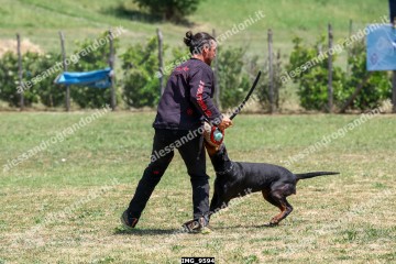 IMG_9594.jpg