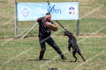 IMG_9633.jpg